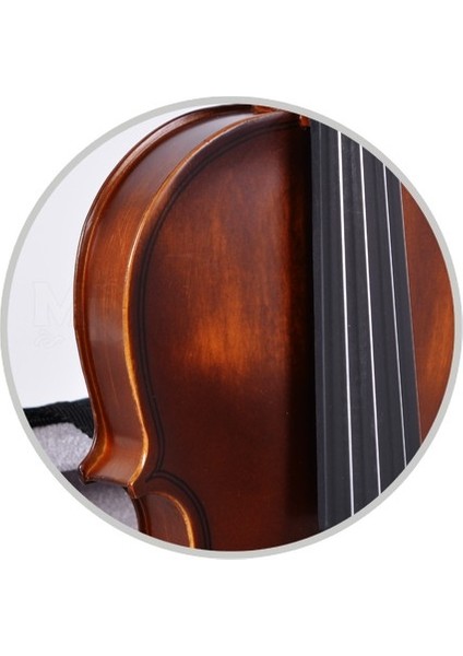 Keman Tam Takım 4/4 Manuel Raymond (MRV44GEM) indirimleri
