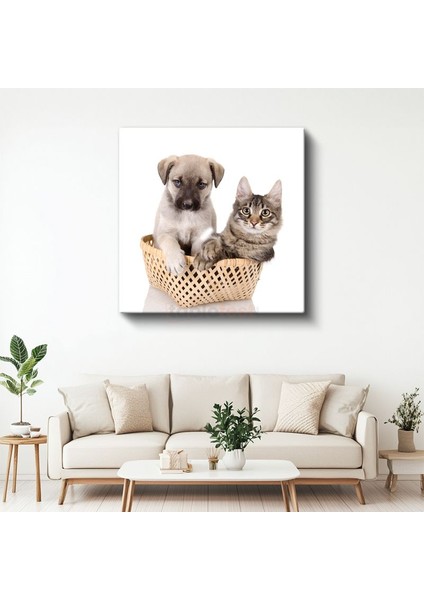 Sepetteki Dostlar - Yavru Köpek ve Kedi İkilisi Kanvas Tablo
