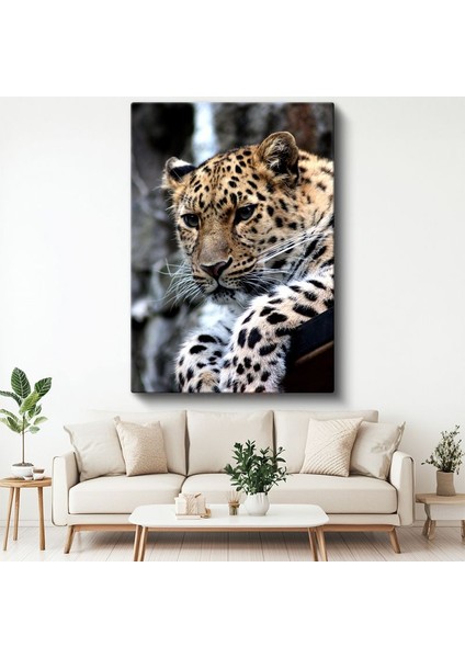 Leopar Portresi - Benekli Desenli Yırtıcı Kanvas Tablo