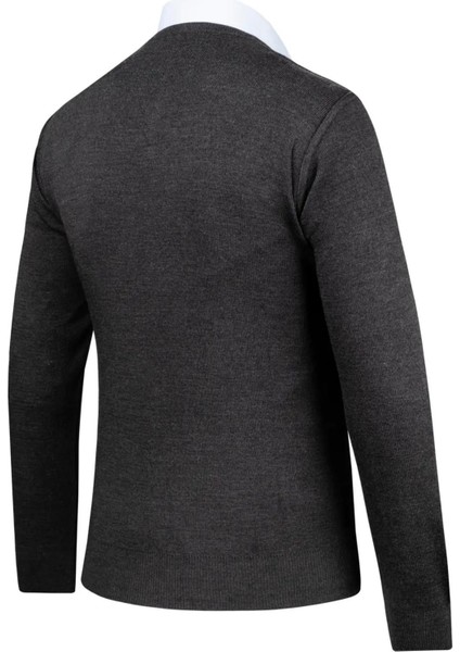 Erkek V Yaka Triko Hırka Düğmeli 4241M BGL-ST04560 fırsatları