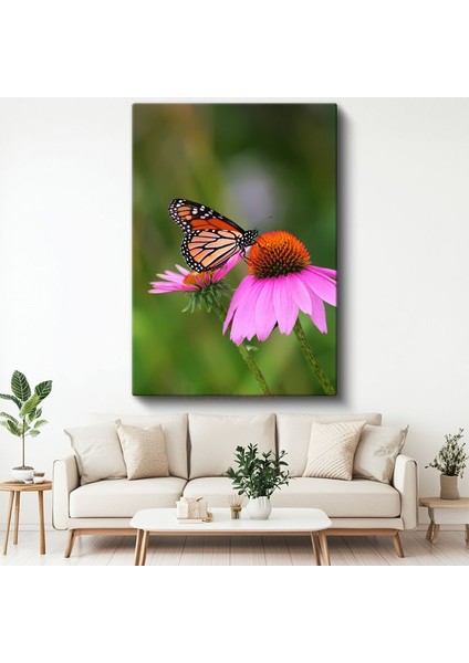 Kral Kelebeği - Pembe Çiçek Üzerinde Turuncu Kanatlar Kanvas Tablo