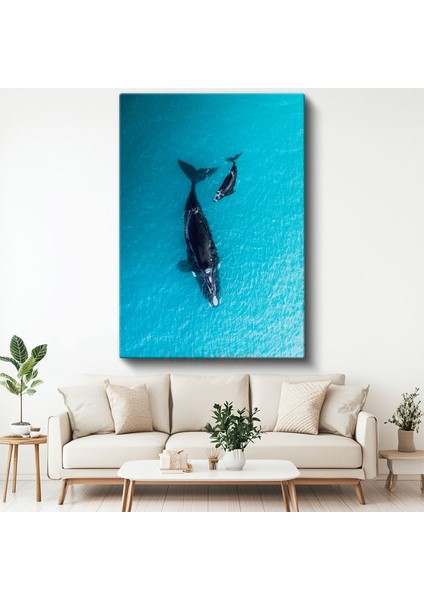 Okyanus Balinaları - Turkuaz Sularda Anne Yavru İkilisi Kanvas Tablo