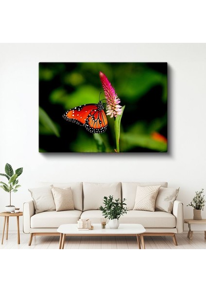 Kral Kelebeği - Turuncu Kanatları Açık Nektar Avcısı Kanvas Tablo