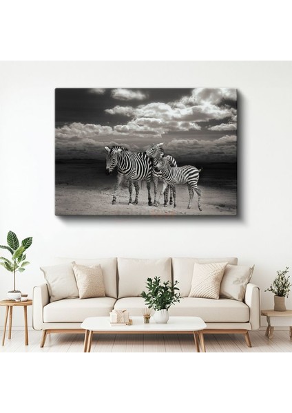Zebra Ailesi - Siyah Beyaz Çizgili Savana Sakinleri Kanvas Tablo