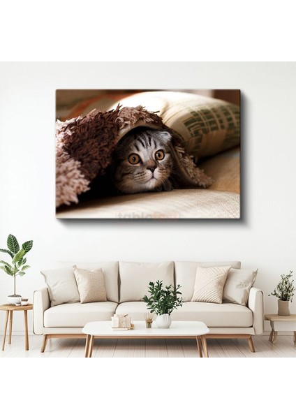 Meraklı Bakış - Battaniye Altındaki Kedi Yavrusu Kanvas Tablo