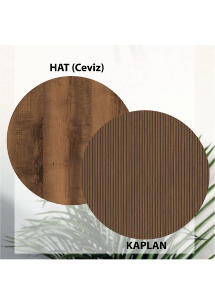 1360 Vision Tv Ünitesi Hat - Kaplan Rengi