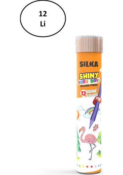 Silka Tüp Tam Boy Kuru Boya 12'li