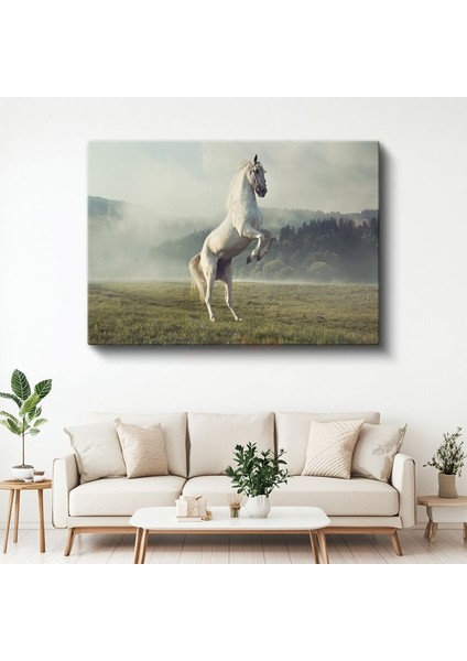 Şaha Kalkan At - Çayırda Özgür Ruh Kanvas Tablo