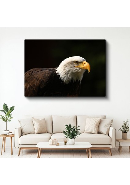 Amerikan Kartalı - Keskin Bakışlı Yırtıcı Kuş Kanvas Tablo