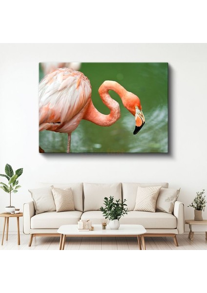 Pembe Flamingo - Zarif Duruşlu Su Kuşu Kanvas Tablo