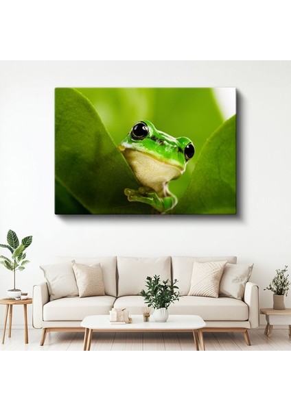 Yaprak Kurbağası - Yeşil Yaprakta Sakin Bekleyiş Kanvas Tablo