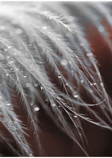 kırmızı-Gri-Beyaz Bitki Dekor Modeli |çerçeveli Temperli Cam Tablo Tekli Dikey fiyatları