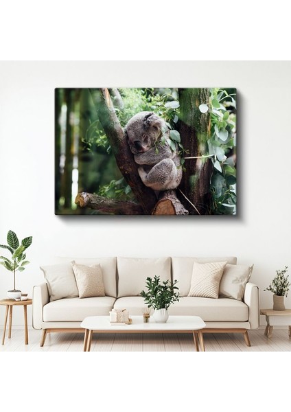 Uyuyan Koala - Ağaç Dalında Huzurlu Anlar Kanvas Tablo