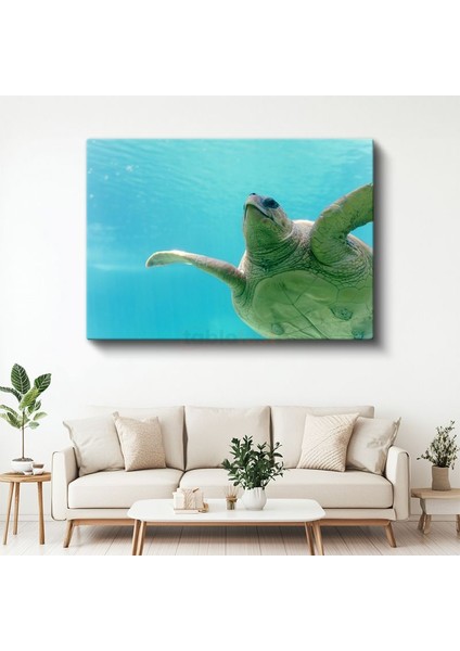 Deniz Kaplumbağası - Turkuaz Suda Zarif Yüzüş Kanvas Tablo