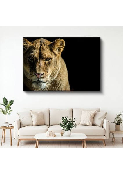 Dişi Aslan - Altın Tüylü Kraliçe Portresi Kanvas Tablo