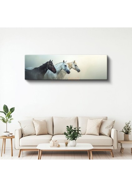 Üç Asil At - Farklı Renklerde Yan Yana Duran Atlar Kanvas Tablo
