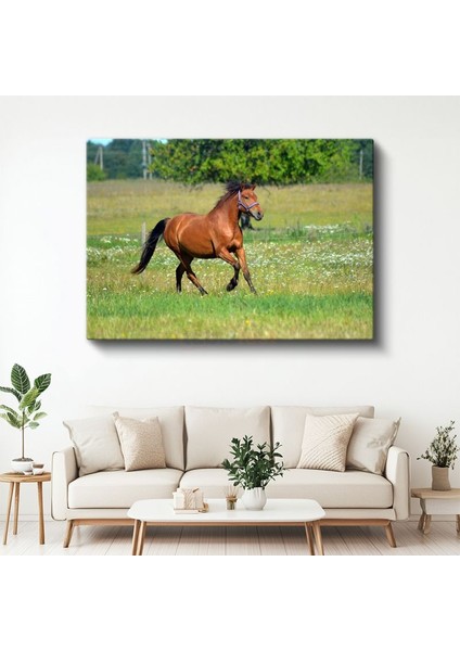 Özgür Ruh - Çayırda Koşan Kahverengi Atın Zarafeti Kanvas Tablo