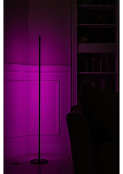 Rgb LED Lambader Köşe Lambası Ir Kumanda Kontrol