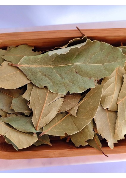 Hatay Defne Yaprağı 100 gr