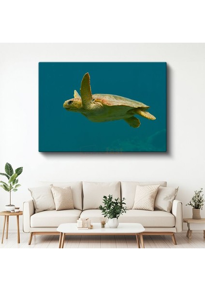 Deniz Kaplumbağası - Turkuaz Suda Özgür Yüzüş Kanvas Tablo