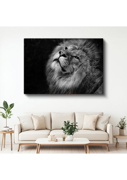 Asil Aslan - Yukarı Bakan Siyah Beyaz Portre Kanvas Tablo