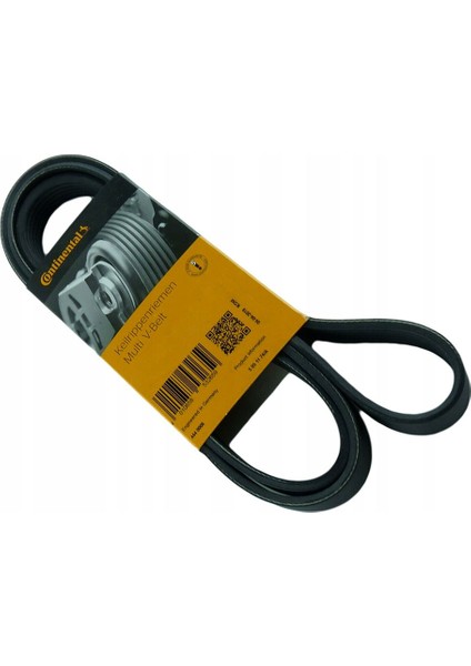 Seat Altea 1.6 Tdı Dizel V Kayışı 2010-2015 Continental