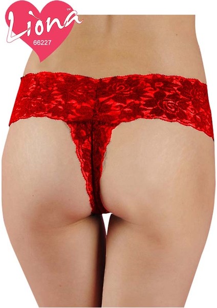 Mulvxlio LIN02 Dantel Büyük Beden Külot (Mulvix) fırsatları