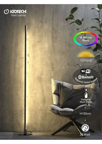 Siyah Gün Işığı ve Rgb Wifi Bluetooth Akıllı LED Aydınlatma