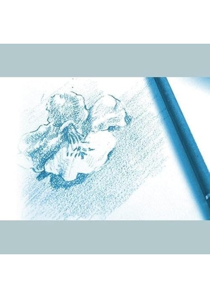 - Dessin A Grain Spiralli A3 Defter