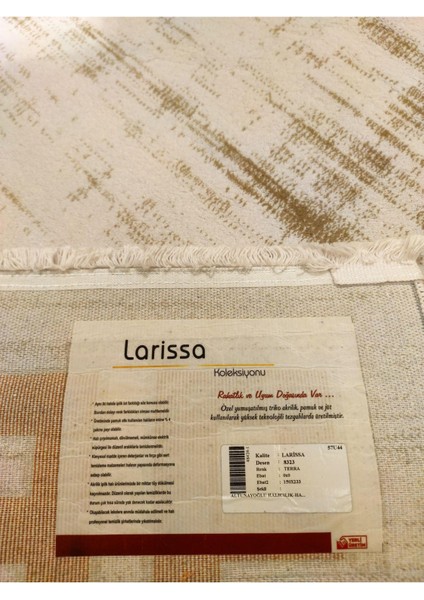 Larissa 8323 Turuncu