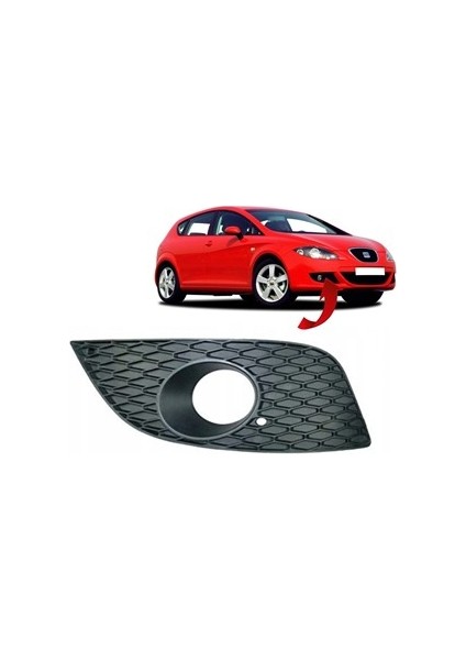 Sis Kapagı Sisli Sag Leon 2009-2013