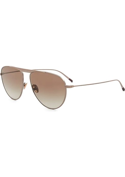 AR6131 30288E Unisex Güneş Gözlüğü