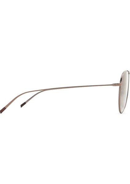 AR6131 30288E Unisex Güneş Gözlüğü