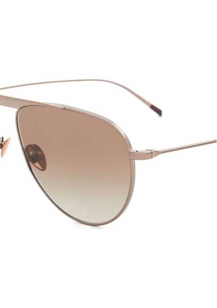 AR6131 30288E Unisex Güneş Gözlüğü