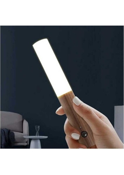 CT-5250 Kumru Şarjlı LED Aplik Günışığı