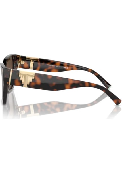 TIFFANY & CO. TF 4218 8015/3G 55 fiyatları