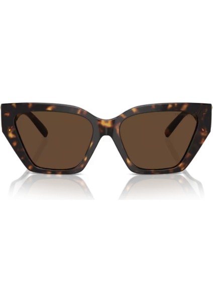 TIFFANY & CO. TF 4218 8015/3G 55 fırsatları