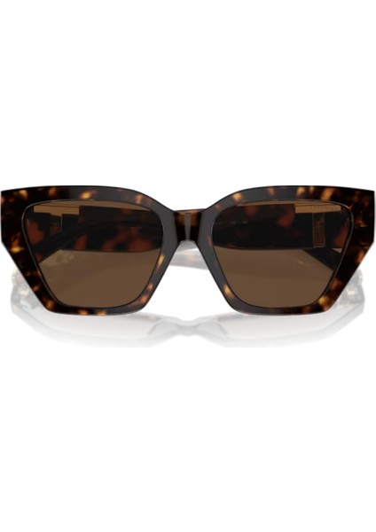 TIFFANY & CO. TF 4218 8015/3G 55 indirimleri