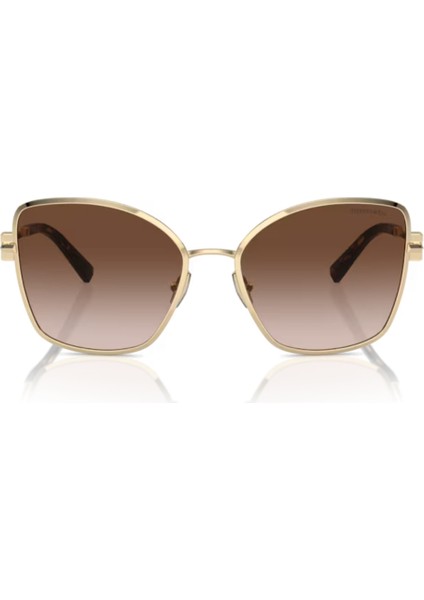 TIFFANY & CO. TF 3102-B 6189/3B 58 fırsatları