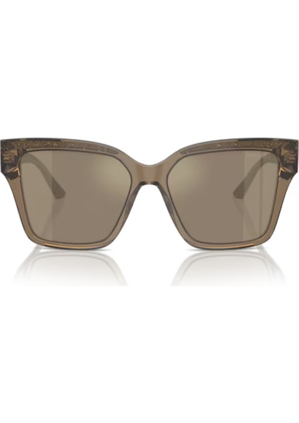 Jımmy Choo Jc 5003 5040/5A 55 fırsatları