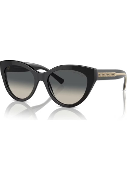 TIFFANY & CO. TF 4220 8001/71 54