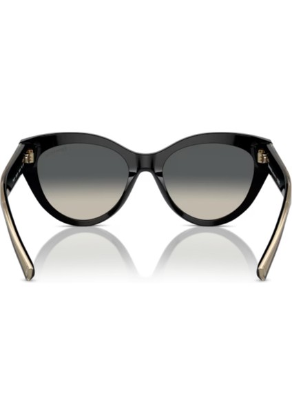 TIFFANY & CO. TF 4220 8001/71 54 modelleri