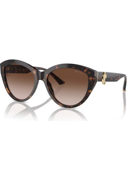 Jımmy Choo Jc 5007 5002/13 55