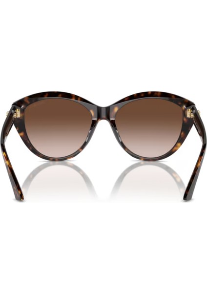 Jımmy Choo Jc 5007 5002/13 55 modelleri