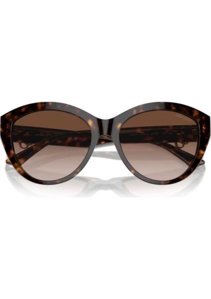 Jımmy Choo Jc 5007 5002/13 55 indirimleri