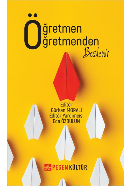 Öğretmen Öğretmenden Beslenir - Ayşegül Demirci