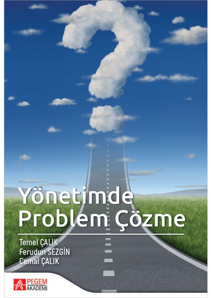 Yönetimde Problem Çözme