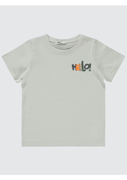 Erkek Çocuk Takım 2-5 Yaş Açık Gri modelleri