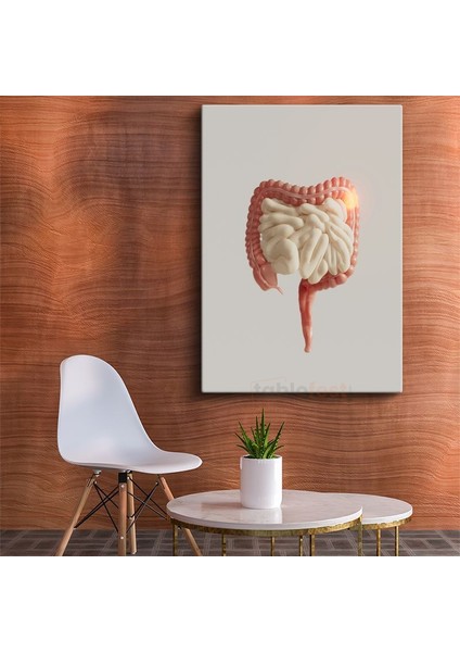 Gastroenterolog - Kanvas Tablo