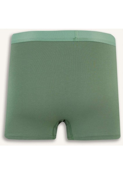 Regular Fit 3'lü Boxer E3365AX25SP